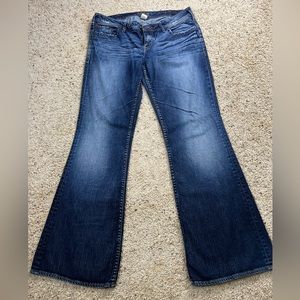 Plus Size Silver Sz 33 Aiko Flare Jean